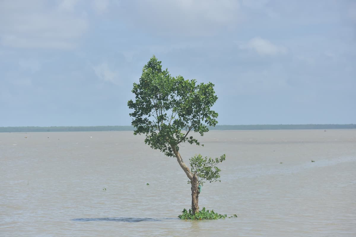 Environmental Assessment for a Greener Tomorrow